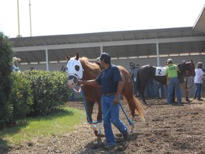 경마장의 안장용 마구간