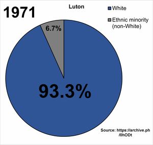1971년부터 2021년까지 루턴의 인종별 인구 통계