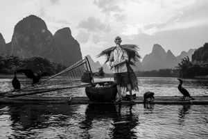 양숴의 중국 가마우지 어부