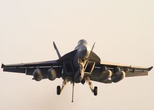 착륙 접근 중인 미국 해군 F/A-18E의 사진에서 날개 아래 파일론의 바깥쪽 경사를 확인할 수 있다