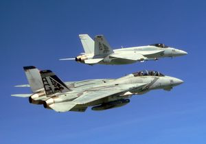 2005년 VFA-143 "푸킨 독스" F-14B와 F/A-18E
