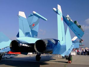 단축된 테일 붐과 어레스팅 후크가 보이는 Su-33 후방
