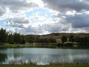 에코데일 지역 공원의 연못 전경