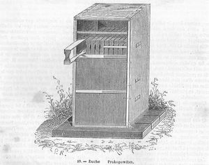 프로코포비치의 벌통 시스템