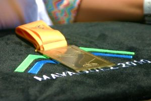 푸에르토리코 마야궤스에서 개최된 2010년 중앙아메리카 카리브해 경기 대회 금메달