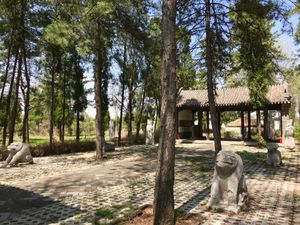 원호문 묘 묘도