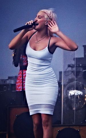 2014년 V 페스티벌에서 루디멘털과 함께 공연하는 앤마리