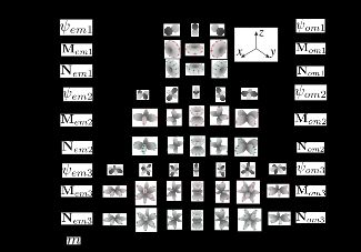 자기 및 전기 벡터 구면 조화 함수의 각 부분. 빨간색과 녹색 화살표는 필드의 방향을 보여준다. 생성 스칼라 함수도 표시되며 처음 세 개의 차수(쌍극자, 사중극자, 팔극자)만 표시된다.