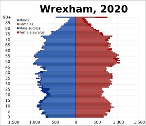 2020년 렉섬 자치시 인구 피라미드