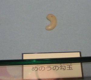 마노 곡옥, 고베시 매장 문화재 센터