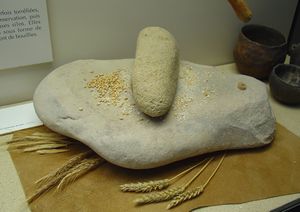 신석기 시대의 맷돌과 분쇄기