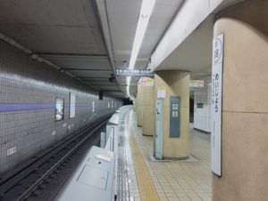 섬식 승강장 구조