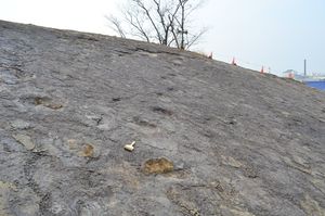 군산 산북동 공룡과 익룡발자국 화석산지