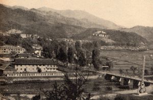 1970년대의 종성