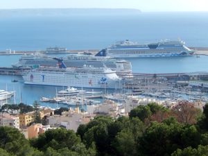 팔마 항에 정박한 크루즈선