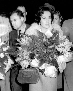 토드와 엘리자베스 테일러, 베오그라드에서