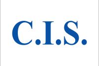 UEFA 유로 1992에 출전한 독립국가연합 축구 국가대표팀의 깃발