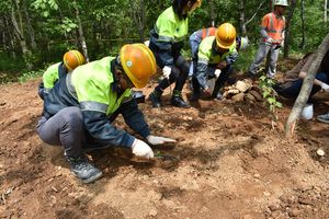 한라시멘트 석회석광산 복구지 내 멸종위기 야생식물 식재 행사