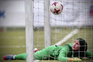 이란 여자 축구 국가대표팀은 국제적으로 더 높은 순위를 유지했다.