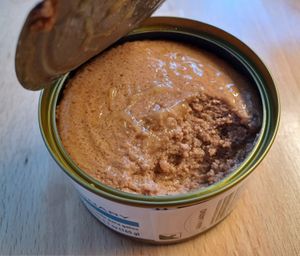 로얄캐닌 고양이 사료