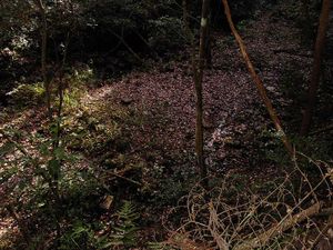 미타케정의 잔토 처분 예정지는 환경성의 중요 습지에 포함되는 미사노 하나노키 습지군 중 한 곳으로, 환경 보호를 위해 매립 반대 운동도 일어나고 있다.