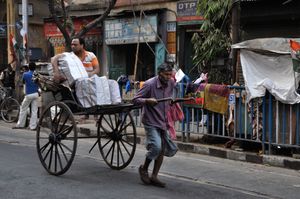 인력거는 여전히 콜카타에서 운행되고 있다