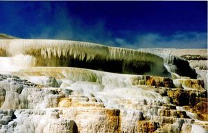 석회화 방해석 퇴적물