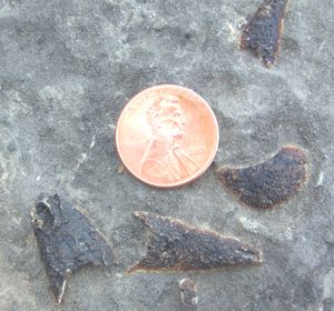 mm}}인 미국 1센트 동전과 함께)