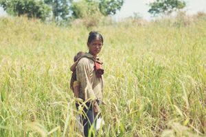 한 여자가 농장을 바라보고 있다