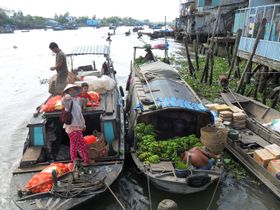 까이베 수상 시장