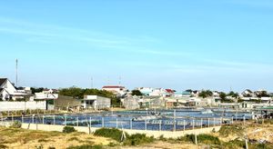 판랑 동하이의 산업적 새우 양식