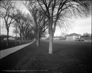 오벌, 물리학 건물, 구겐하임 홀이 보이는 1920년 콜로라도 농업 대학 캠퍼스