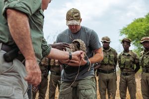아프리카의 에드먼드슨