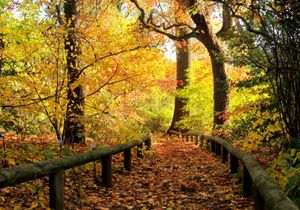 브루클린 식물원