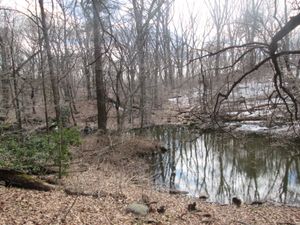 Ravine 내부의 수로 모습