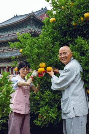 약천사 템플스테이 프로그램