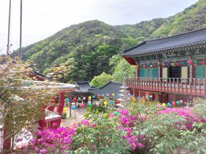  지장전과 대웅전 사이에서 바라본 관암사