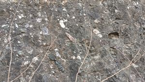 영양군 일월면 문암리 문암삼거리 도로변의 청량산층 역암