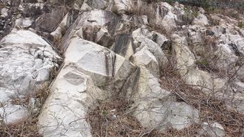 거제 화강암, 거제시 남부면 저구리 지방도 제1018호선 도로변