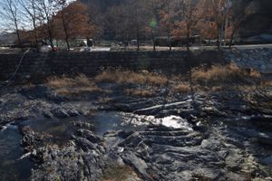 신녕 단층 SN-1 노두