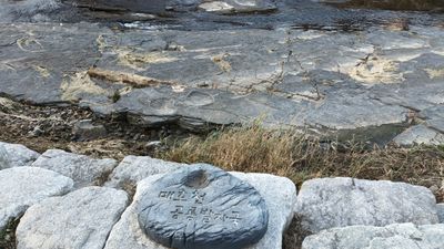 수성구 시지동 405-3매호천 하천 대구층/반야월층 상에 드러난 공룡 발자국 화석이다.