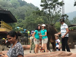 타만 사파리 코끼리 쇼