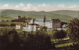 20세기 초 예세니크 온천