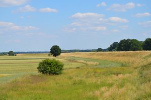 브제크 북쪽의 농경지