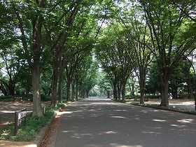 고마자와 올림픽 공원