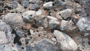 마이산 역암층의 역암 진안군 마이산