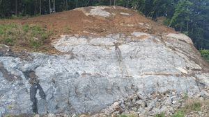 백악기 진안층군 산수동층, 진안군 마령면 동촌리