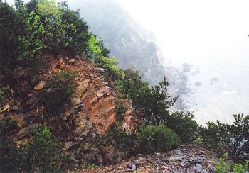 강릉 정동진 해안단구