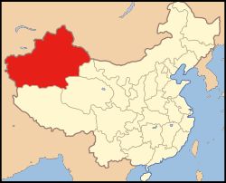 중국 신장의 위치