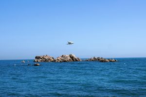 문무대왕릉 수중릉